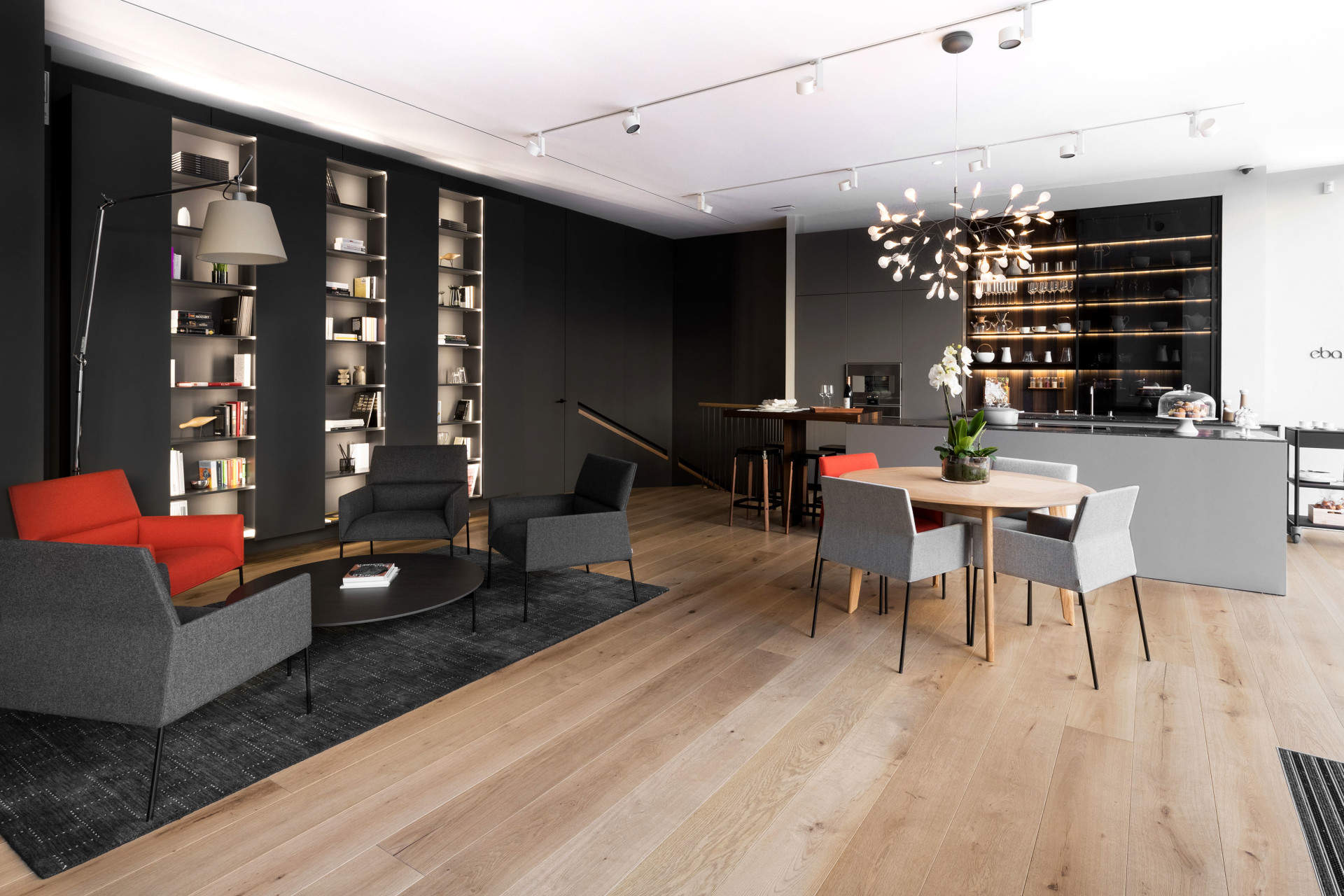 Open-plan living room and kitchen studio